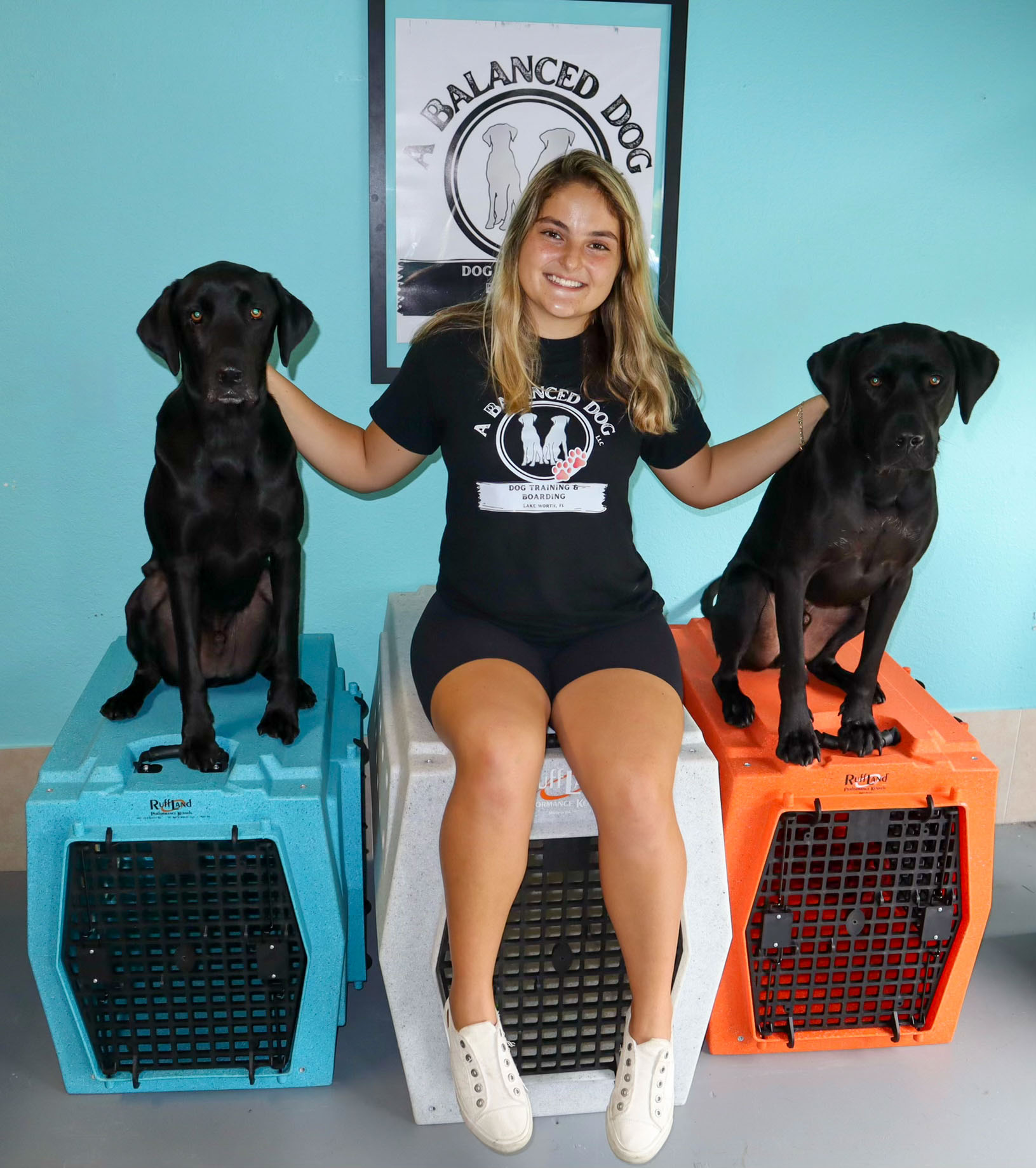Focused Dog Training Session in Palm Beach